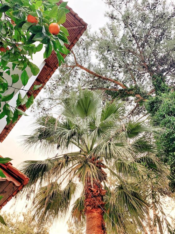 Villa Anais 프리노스 외부 사진